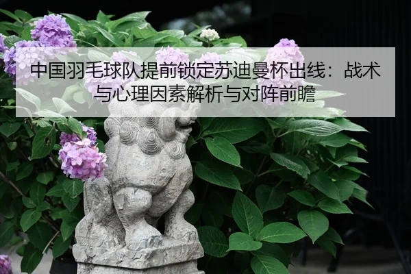 zhong-guo-yu-mao-qiu-dui-ti-qian-suo-ding-su-di-man-bei-chu-xian-zhan-shu-yu-xin-li-yin-su-jie-xi-yu-dui-zhen-qian-zhan-2-702.jpg