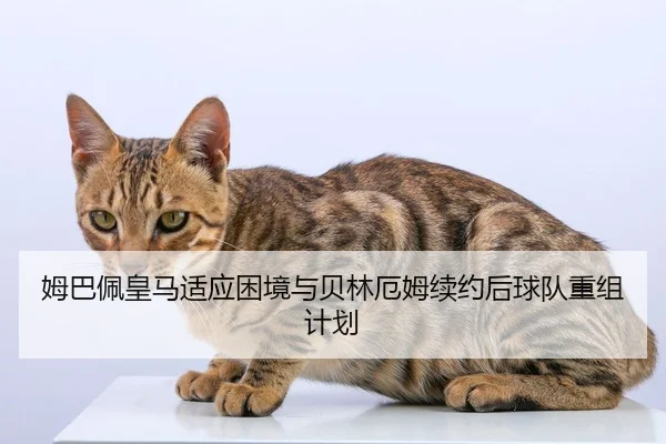 姆巴佩皇马适应困境与贝林厄姆续约后球队重组计划