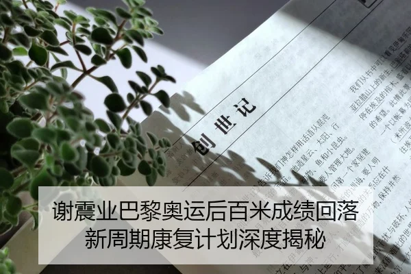 谢震业巴黎奥运后百米成绩回落 新周期康复计划深度揭秘